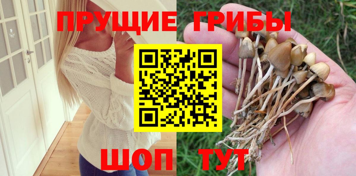 Кузнецк  Галлюциногенные грибы мицелий  как найти закладки  Вход с VPN 