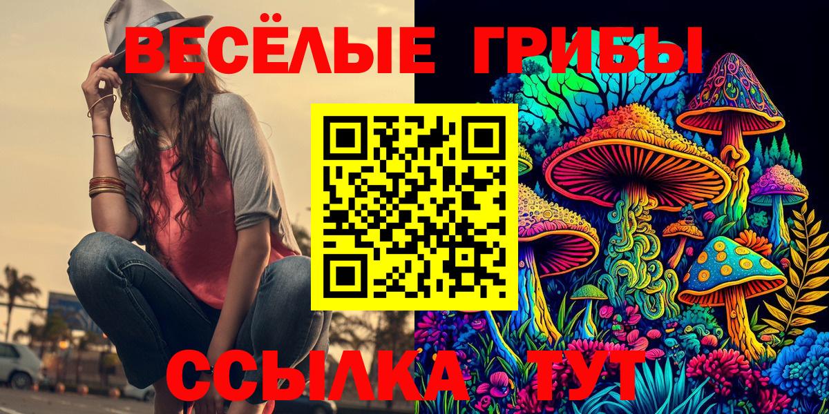Псилоцибиновые грибы прущие грибы Кузнецк